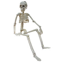 20 Pcs Active Human skeleton Model Anatomy Skeleton Model Medical Learning Halloween Party Decoration Skeleton Art Sketch 2024 - buy cheap
