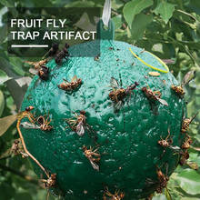 Fruit Fly Artifact Trap Sticky Trap Flies Outdoor Fruit Fly Trap Trap Pest Control Products Fruit Tree Garden Flying Insect Trap 2024 - buy cheap