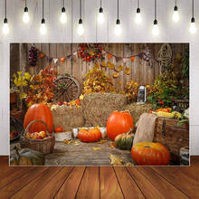 Fondo fotográfico personalizado para estudio fotográfico, telón de fondo con diseño de frutas y calabazas de otoño, ideal para decoración de fiestas, cumpleaños de bebés y pancarta fotográfica 2024 - compra barato