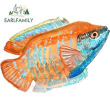 EARLFAMILY-calcomanía de vinilo para coche, camión, RV, Copa celular, barco, pegatina gráfica, peces de acuario, calabaza, casi vivo, 13cm x 9cm 2024 - compra barato