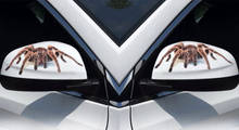 Pegatina de coche 3D, parachoques de animales, escorpiones Gecko para Suzuki SX4 SWIFT Alto Grand Vitara Jimny s-cross para DAIHATSU terios 2024 - compra barato