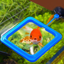 Aquarium Fish Feeding Ring Floating Fish Tank Feeder Station Round Square Fish Food Tray With Suction Cup Fish Tank Accessories 2024 - buy cheap