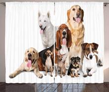 Занавески с изображением собаки группы собак для фотосъемки портрет вместе с компанией печать на окошке гостиной спальни 2024 - купить недорого