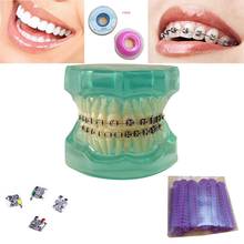 Odontológica dental, equipamento para higiene oral, modelo de dentes dentários, mini escovas de metal, suportes de cerâmica, instrumento de laboratório 2024 - compre barato