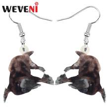 WEVENI Acrylic Australia Platypus Duckbill Earrings Animal Drop Dangle Jewelry For Women Girls Teen Kid Charm Hot Sale Gift Bulk 2024 - buy cheap