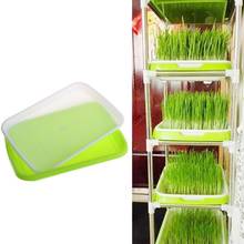 Seed Sprouter Tray Double-layer Soilless Culture Seeds Hydroponic Nursery Tray N58C 2024 - buy cheap