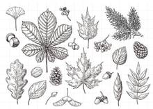 leaf Clear Stamp Or stamp for DIY Scrapbooking/Card Making/Kids Fun Decoration Supplies A078 2024 - buy cheap