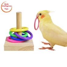 Pássaro de madeira papagaio puzzle anel brinquedos treinamento inteligência aves plataforma de madeira mastigar brinquedos para aves 2024 - compre barato