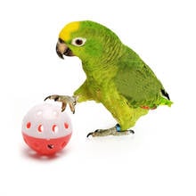 Pet Parrot Toy Bird Hollow Bell Ball For Parakeet Cockatiel Chew Fun Cage Toys  2024 - buy cheap