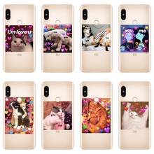 Cat Phone Case For Pocophone F1 Xiaomi Redmi S2 4A 5A 6A 5 Plus Silicone Soft Back Cover For Redmi Note 4 4X 5 5A 6 Pro Prime 2024 - buy cheap
