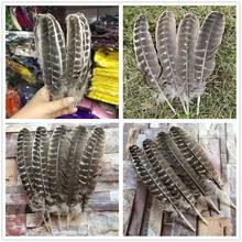 Wholesale 50/100PCS Beautiful 9-12inches/22-30cm Natural Wild Turkey Tail Feathers DIY jewelry Wedding Christmas Decoration 2024 - buy cheap