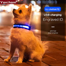 Collar de seguridad LED Luminoso para Perro, luz nocturna personalizada, recargable por Usb, para gato 2024 - compra barato