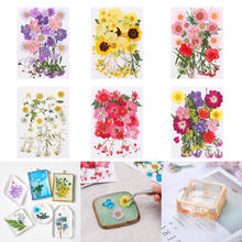 1Bag Dried Flowers UV Resin Decorative Natural Flower Stickers 3D Dry Epoxy Mold DIY Filling Jewelry Silicone Molds Dried Flower 2024 - buy cheap