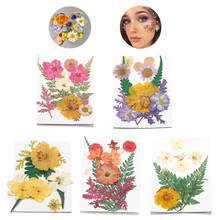 Paquete de flores secas, Plantas secas, resina UV, pegatinas de flores naturales, calcomanía de belleza seca para bricolaje, relleno de resina epoxi, decoración de joyería, 1 paquete 2024 - compra barato