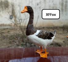 big simulation duck model foam&furs real life duck bird model gift about 38x25x14cm xf2196 2024 - buy cheap