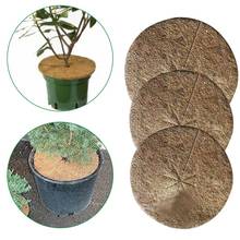 10PCS Plants Cover Potted Plants Winter Protection Coconut Mulch Cover Coir Mat For Garden Potted Plant Botany Keep Warm DH 2024 - buy cheap