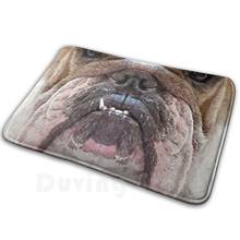 Alfombrilla antideslizante con cara de Bulldog Inglés, alfombra suave, cojín de perro Bulldog inglés, sonrisa, cara sonriente, labios, Animal, naturaleza, 2347 2024 - compra barato