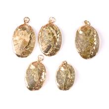 Natural seashell Gold Plated sector Abalone shells for earring DIY handmade charms pendant Home decoration 5pcs TRS0342 2024 - buy cheap