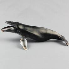Figura de Animal marino de ballena jorobada para niños, modelo de simulación, juguetes educativos, regalo 2024 - compra barato