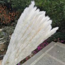 50pcs/Bouquet Small Natural Dried Pampas Grass Flowers Artificiales Para Real Plants Wedding Party Home Decoration 2024 - buy cheap