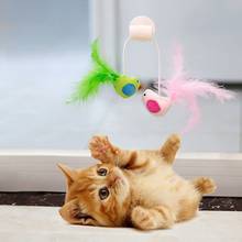 Interactive Mini Funny Feather Birds Playing Toys For Cats Dogs Home Playing Puppy Kitten Toys Pet Supplies Pet Cat Toys 2024 - buy cheap
