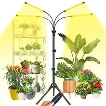 Luz de led usb para cultivo., espectro completo de plantas, cultivador de plantas, plantas para áreas internas, plantas, para plantio de flores em estufa. 2024 - compre barato