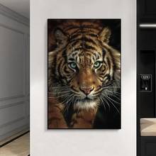 African Wild Tigers Animals Canvas Painting Modern Posters and Prints Cuadros Wall Art Pictures for Living Room Home Decoration 2024 - buy cheap