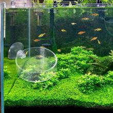New Arrival Fish Tank Feeder Aquarium Shrimp Glass Feeding Bowl Clear Dish Tray 85LA 2024 - buy cheap