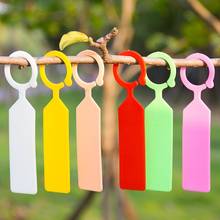 100 PCS /Lot Plastic Plants Tags Nursery Garden Ring Label Pot Marker Stake Hanging Tags Greenhouse 2024 - buy cheap