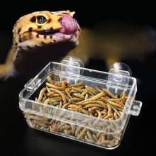 Reptile Feeder Anti-escape Food Bowl Turtle Lizard Worm Live Food Container 2024 - buy cheap