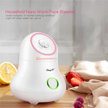 Fruit Vegetable Face Steamer Spa Facial Beauty Machine Skin Care Moisturizing Hot Steam Nano Spray Whitening Mist Humidifier 45 2024 - buy cheap