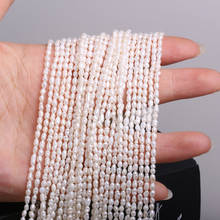 Contas de pérola branca de água doce em formato de arroz, contas soltas para colar, acessórios para pulseira, fabricação de joias, tamanho diy 2-3mm 2024 - compre barato