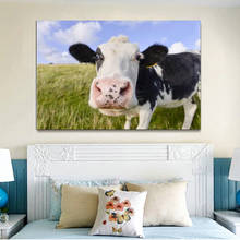 RELIABLI ART Animal Pictures Cow On The Glasses Canvas Paintings Wall Art For Living Room Decoration Posters And Prints No Frame 2024 - buy cheap
