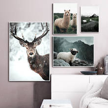 Poster de animais alpacos, pastoral, ovelha, tela de impressão, estilo nórdico, pintura de paisagem, arte para parede, decoração moderna para sala de estar 2024 - compre barato