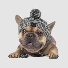 Зимняя шапочка для домашних собак шапка Рождественский теплый ветрозащитный Pet Шляпы из аксессуары для собак для малых и средних собак шапка для собак панель в форме французского бульдога на открытом воздухе 2024 - купить недорого