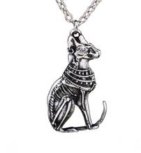 Collar de calavera de Mascota, colgante de gato 2024 - compra barato