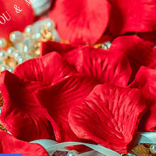 100-5000pcs Romantic Rose Petals Flower Girl Toss Fake Silk Petals Artificial Petals For Wedding Confetti Party Decorations 5Z 2024 - buy cheap