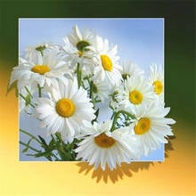 DIY 5D Diamond Painting Flowers Full Square/Round Drill Cross Stitch Diamond Embroidery Daisy Picture of Rhinestones Wall Art 2024 - buy cheap