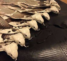 Piel de serpiente auténtica de grano Natural para DIY, cinturón hecho a mano, bolso de mano, cuero de serpiente, grosor de 0,1-0,3mm 2024 - compra barato