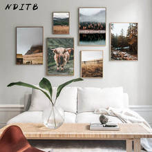 Impresión en lienzo de paisaje de montaña de niebla, póster escandinavo, Animal nórdico, vaca, arte de pared, pintura, imagen, decoración moderna del hogar 2024 - compra barato