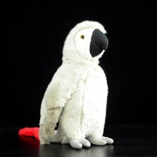 Simulation Macaws Plush Toy Ara Macao Parrot Psittacidae Grey Soft Doll Bird Model Real Life Cute Stuffed Animal For Kids Gift 2024 - buy cheap