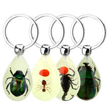 Creative Scorpion Keychain Handbag Wallet Pendant Artificial Amber Insect Car Keyring Scorpion Ant Amber Key Chains Luminous 2024 - buy cheap