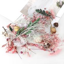 1 Box Natural Dried Flower Dry Plants for DIY Epoxy Resin Charm Pendant Aromatherapy Candle  Jewelry Making Craft Accessories 2024 - buy cheap