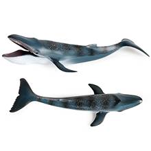 Имитация морской жизни, модель животного, игрушка, синий кит, животное, Акула, модель, развивающая игрушка для детей, мальчиков 2024 - купить недорого