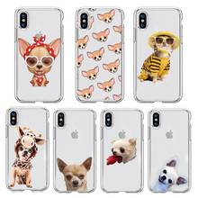 Чехол для телефона с милыми животными чихуахуа, собака, прозрачный мягкий для iphone 5 5s 5c se 6 6s 7 8 11 12 plus mini x xs xr pro max 2024 - купить недорого