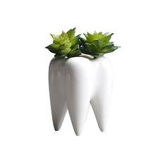 Maceta con forma de dientes para decoración del hogar, maceta de cerámica blanca innovadora, suculenta de flores, diseño moderno, no incluye plantas 2024 - compra barato