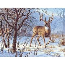 GATYZTORY 60x75cm Frame Deer DIY Painting By Numbers Animals Handpainted Oil Painting Canvas Colouring Wall Decor 2024 - buy cheap