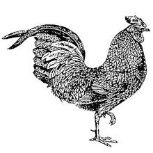2021 New Retro Animal Chickens Pattern Clear Stamps For DIY Craft Making Greeting Card and Scrapbooking No Metal Cutting Dies 2024 - buy cheap