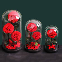 Rosa eterna preservada con cúpula de cristal para mujer, flor Real de la Bella y La Bestia, amor eterno, recuerdo de boda, regalos de fiesta, decoración 2024 - compra barato