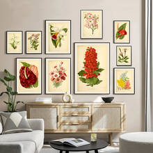 Винтажный постер с растениями, растениями-суккулентами, ретро-принты, Цветочная Картина на холсте, образовательная картина, домашний декор для стен 2024 - купить недорого